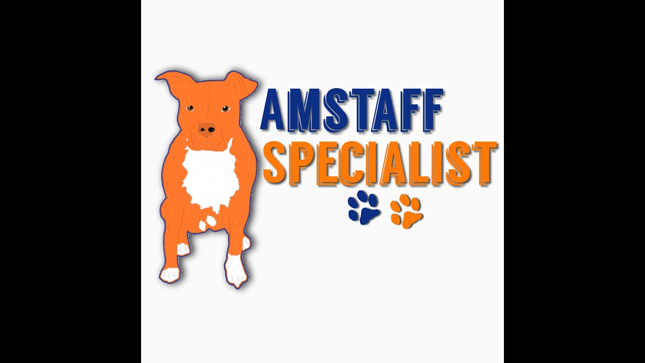 INTERVISTA A ROMINA DI AMSTAFF SPECIALIST, Due chiacchere su questa razza
