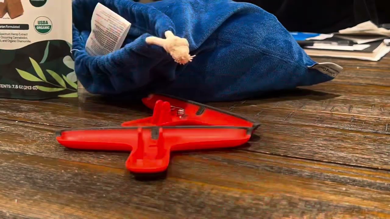 HTMedia Superwings toy videos #2 - More Transforming toys!