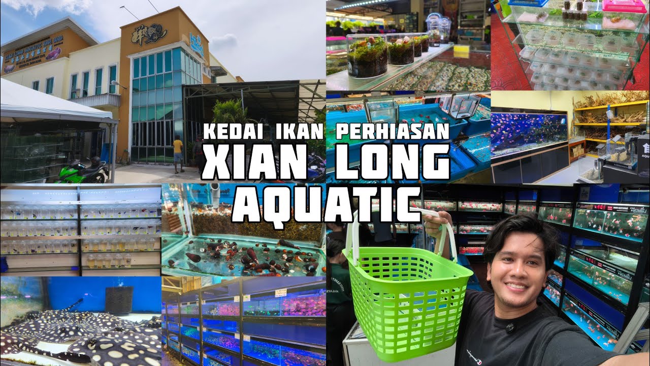 🐠 SHOPPING VLOG DI XIAN LONG AQUATIC SHAH ALAM | Syurga Ikan Hiasan & Akuarium! 🛍️