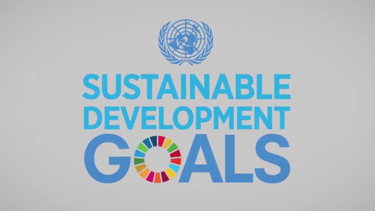 Nigerian Youth SDGs Awareness Video