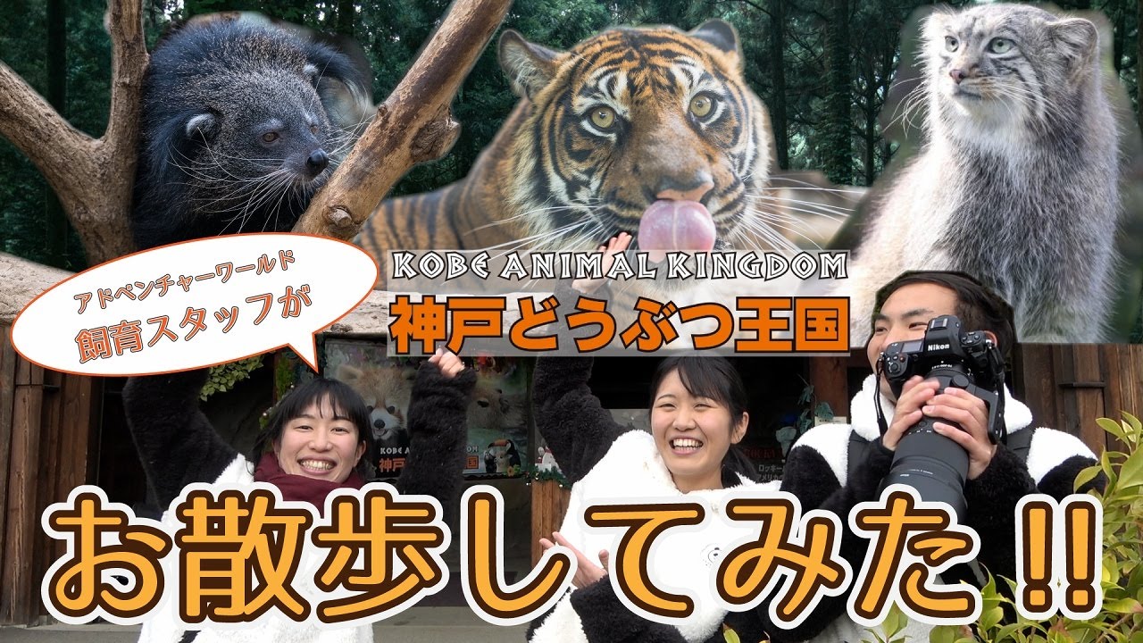 【神戸どうぶつ王国コラボ】動物飼育スタッフが神戸どうぶつ王国を散歩してみた《前編》