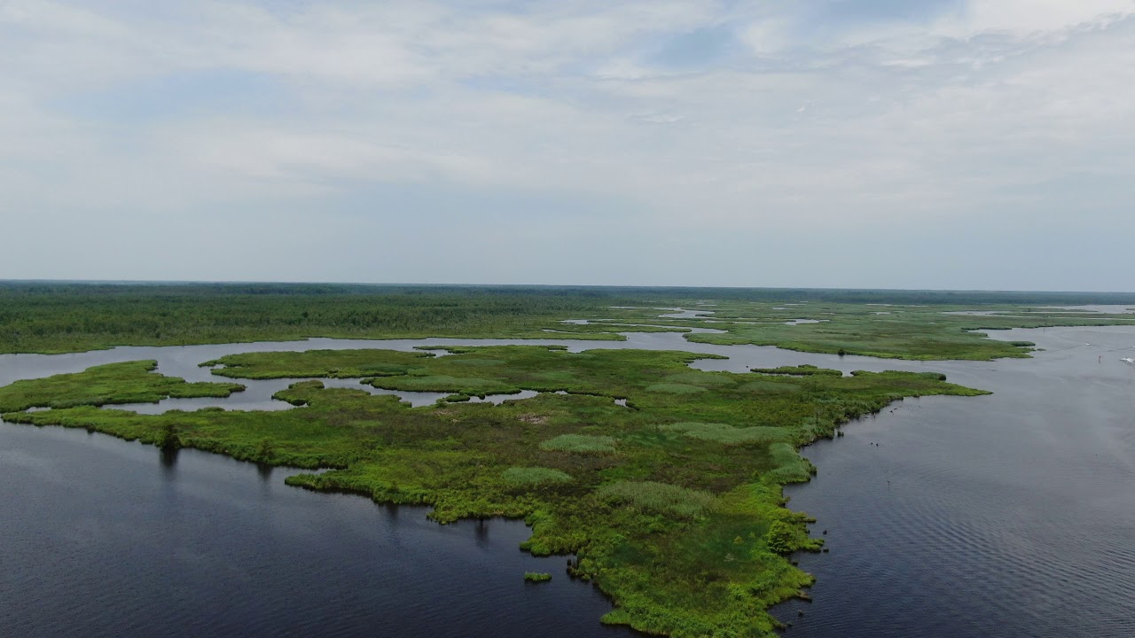 Pungo Ferry 2