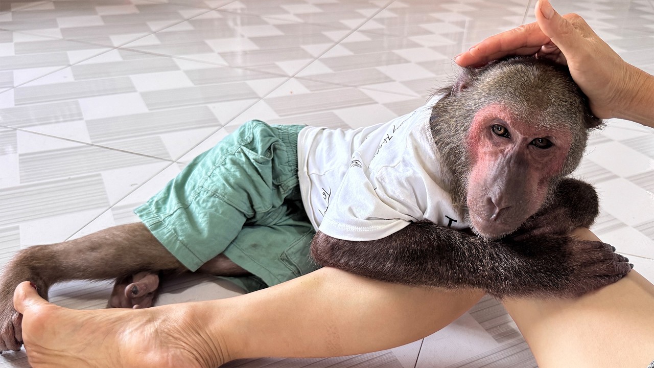 Pure Love! Abu Shares an Adorable Cuddle With Mom After She Returns