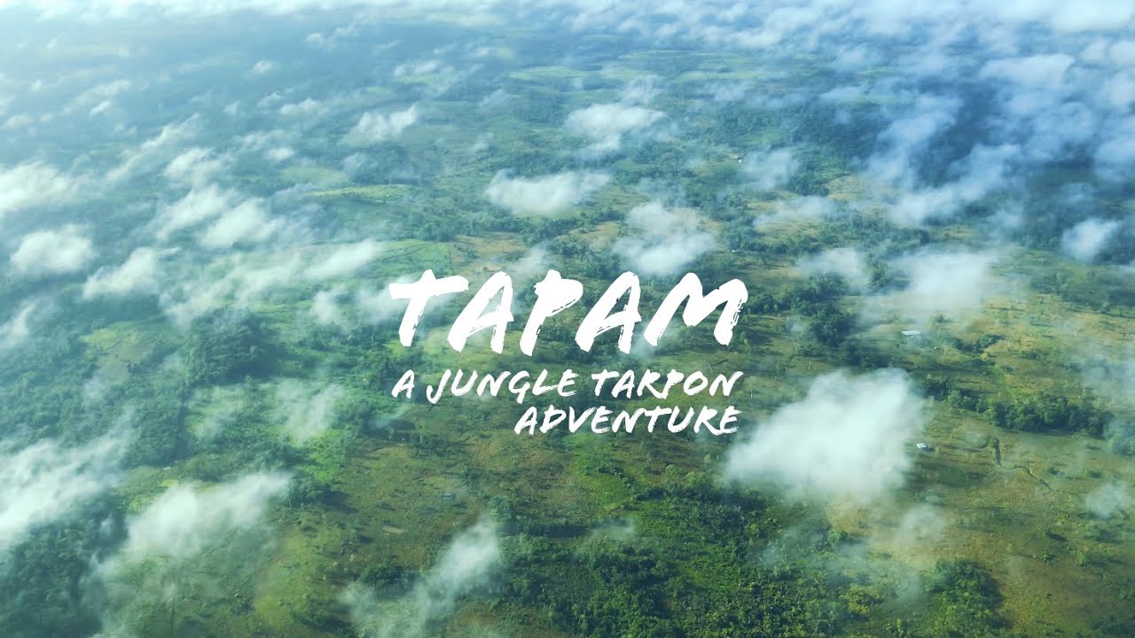 Tapam / A Tapron fly fishing adventure