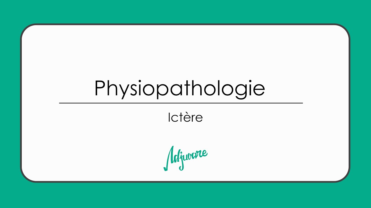 Tutorat physiopathologie : Ictère