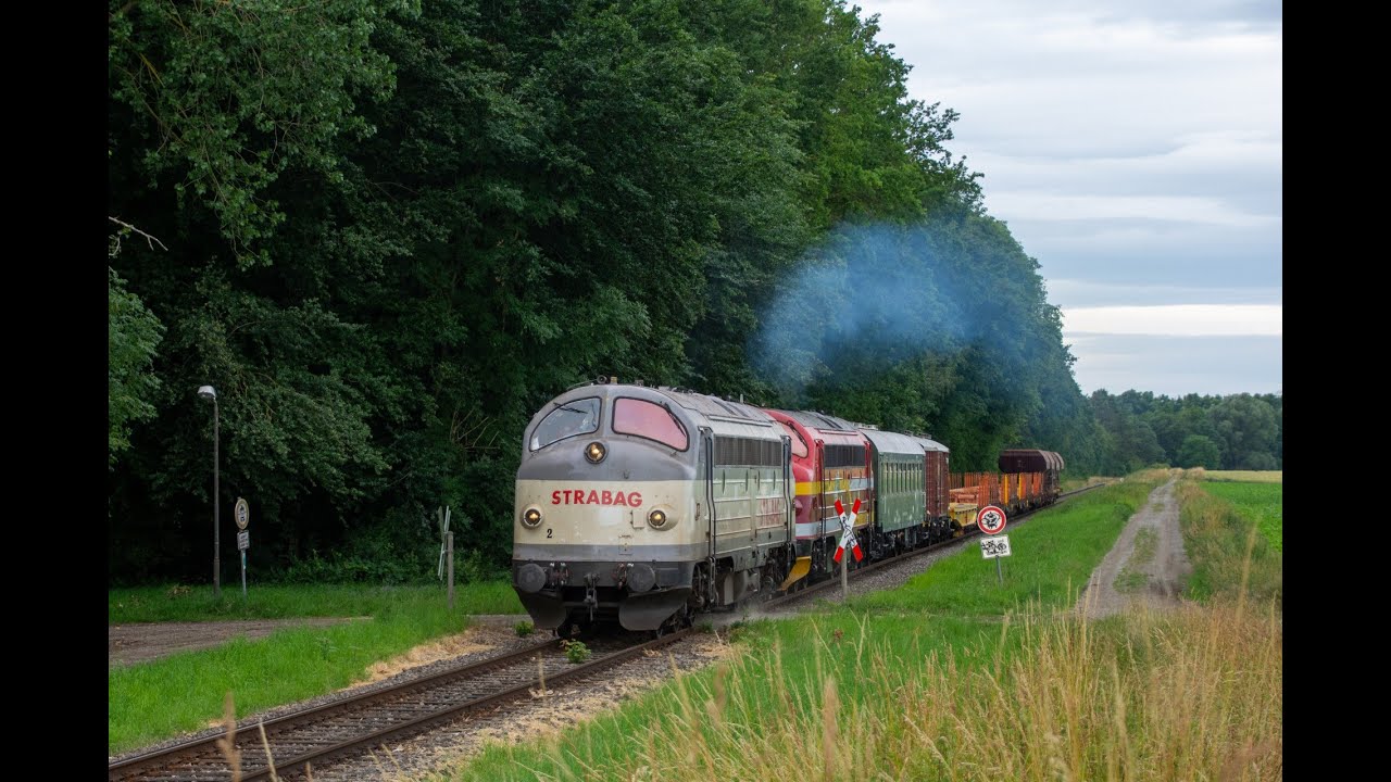 NOHAB GM-Gruppe Deutschland - Kørsel med MY 1131 + MY 1147 - 01-07-2023