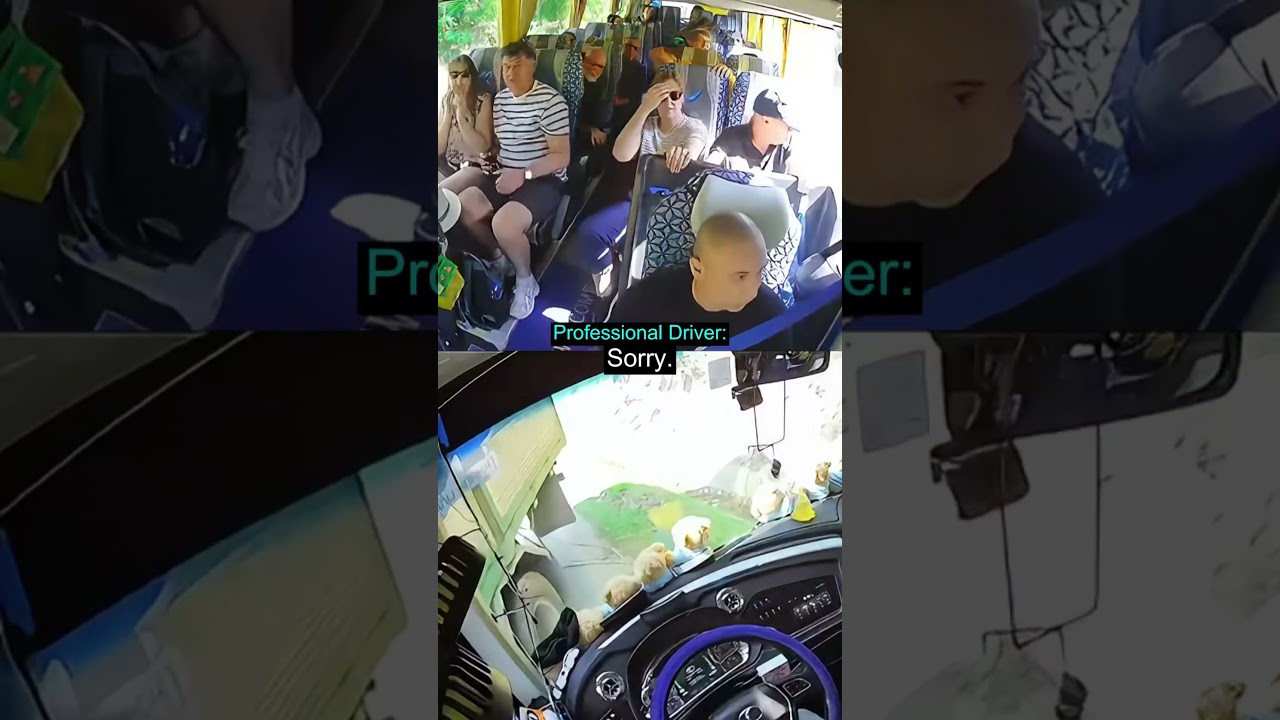 Pro Bus Driver Saves Everyone From a Crash