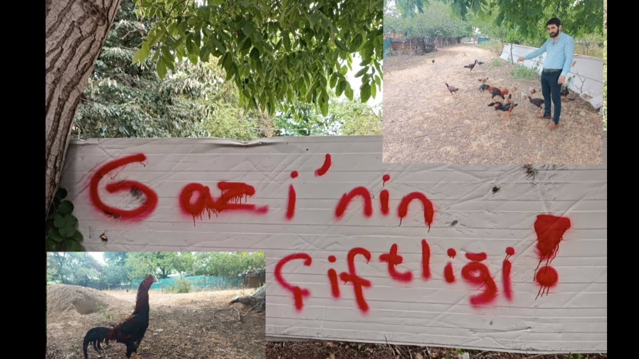 Bugün Bolu'da Gazi'nin Çiftliğini Ziyaret Ettik.