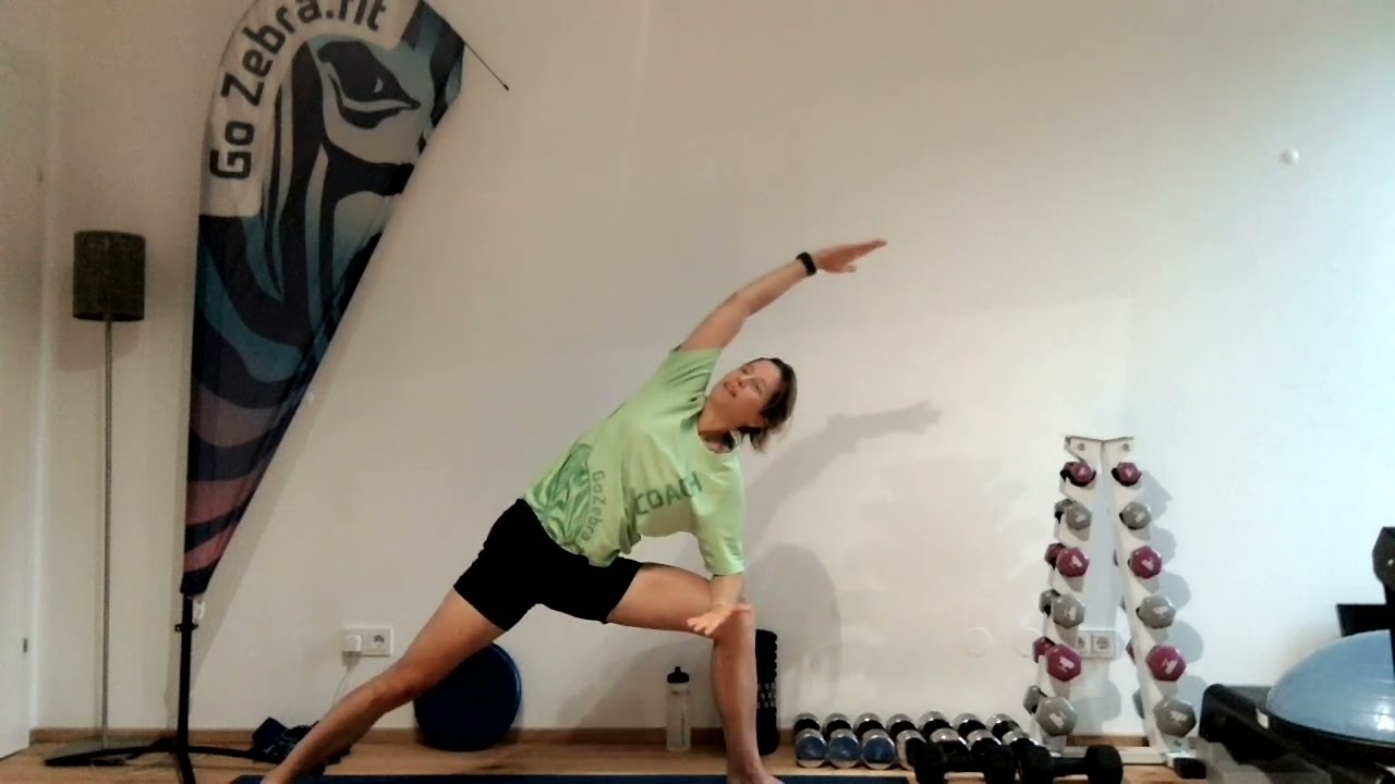 GoZebra StretchingFlow