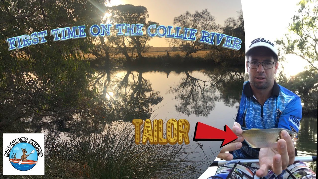 Fishing On The Collie River
