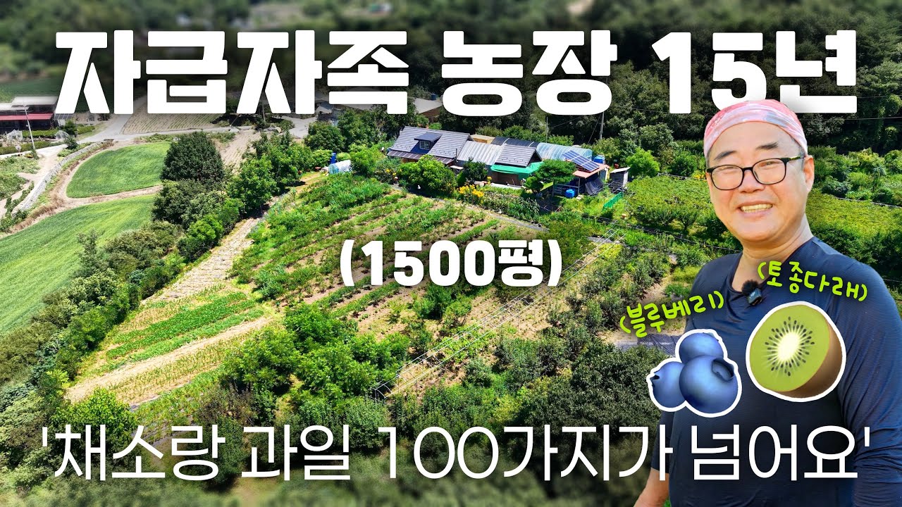 15년차 자급자족 농부 인터뷰 | 강원도 산골 1500평, 작물 종류만 100가지 이상 | 1.2-Acre Self-Sufficient Homestead in KOREA