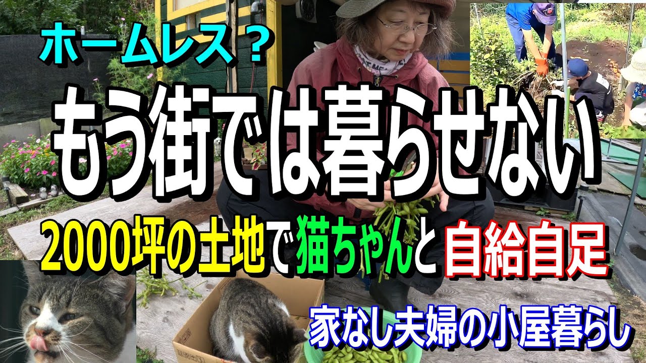 もう街では暮らせない!?【無職 家なし夫婦の小屋暮らし】喧騒もご近所トラブルなし　優貴プロジェクト　退職後のホームレス