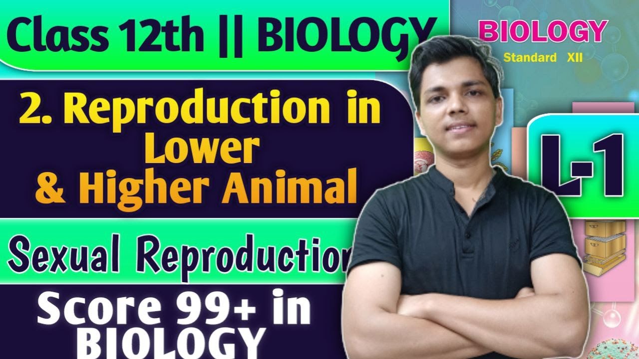 L-1 | 2. Reproduction in Lower and Higher Animal Class 12 Biology Sexual Reproduction #biology