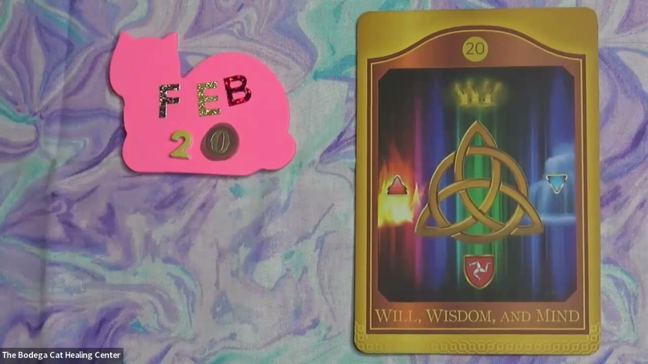 Daily Akashic Wisdom & Meditation - February 20, 2026