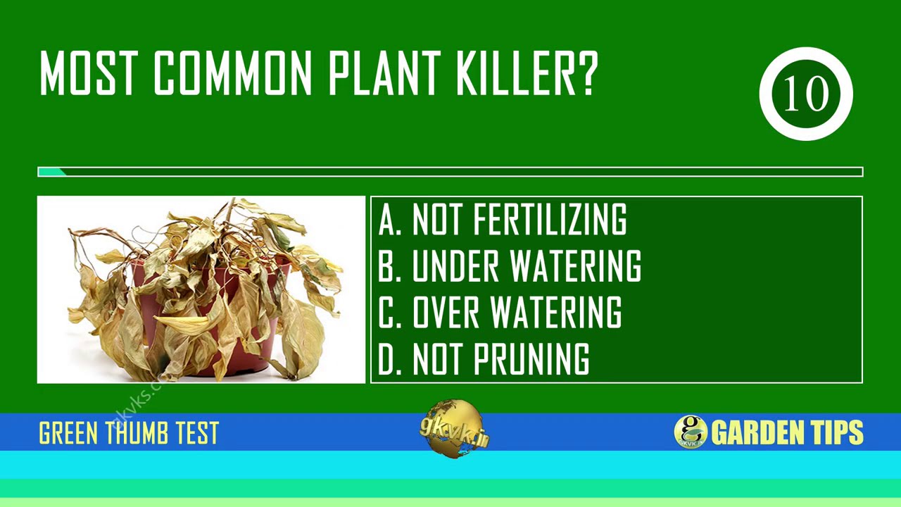 You Have A GREEN THUMB If You Score above 10 - Take This Gardening Quiz KBC style