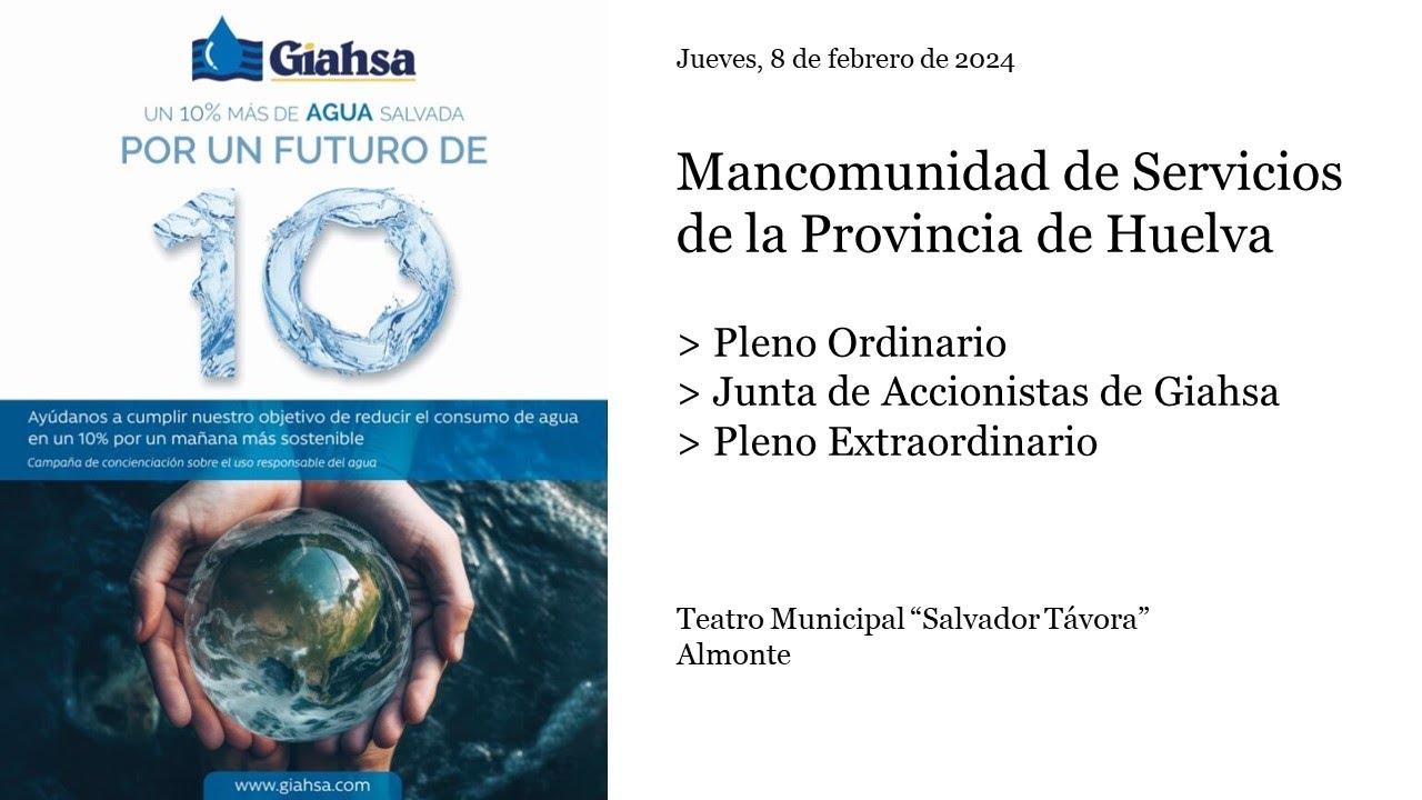 Pleno Extraordinario Mancomunidad de Servicios de la Provincia de Huelva (MAS) 08/02/2024