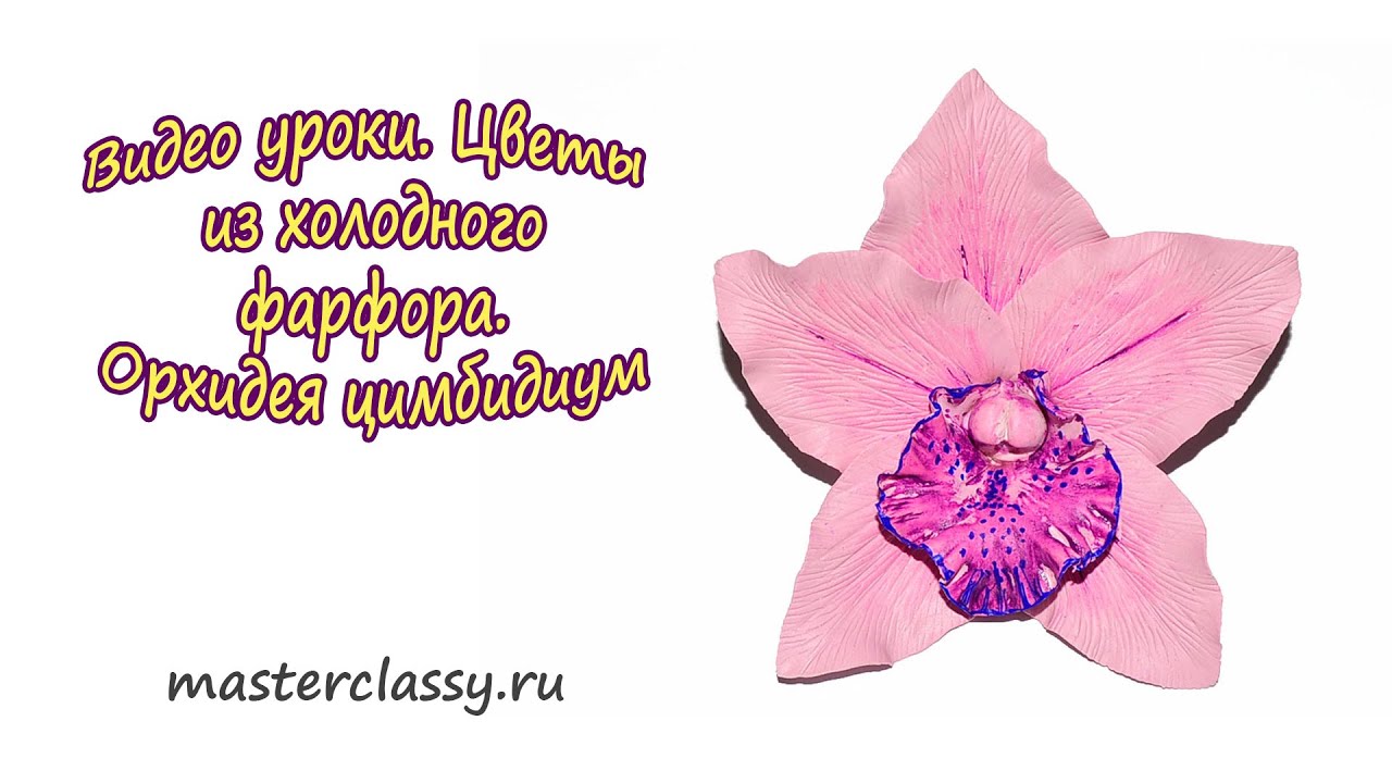 Цветы из холодного фарфора. Орхидея цимбидиум