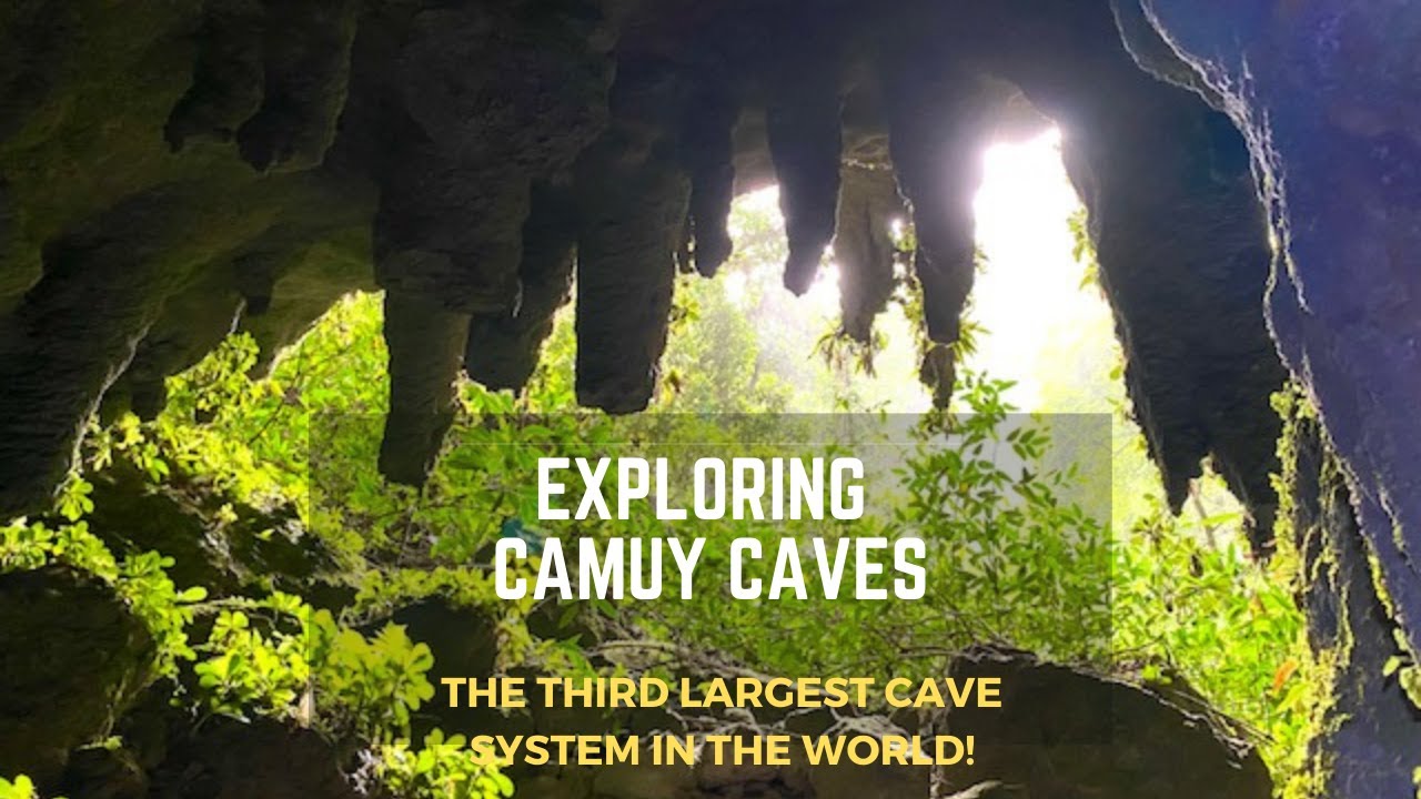Exploring Camuy Caves--The World's Third Largest Cave System