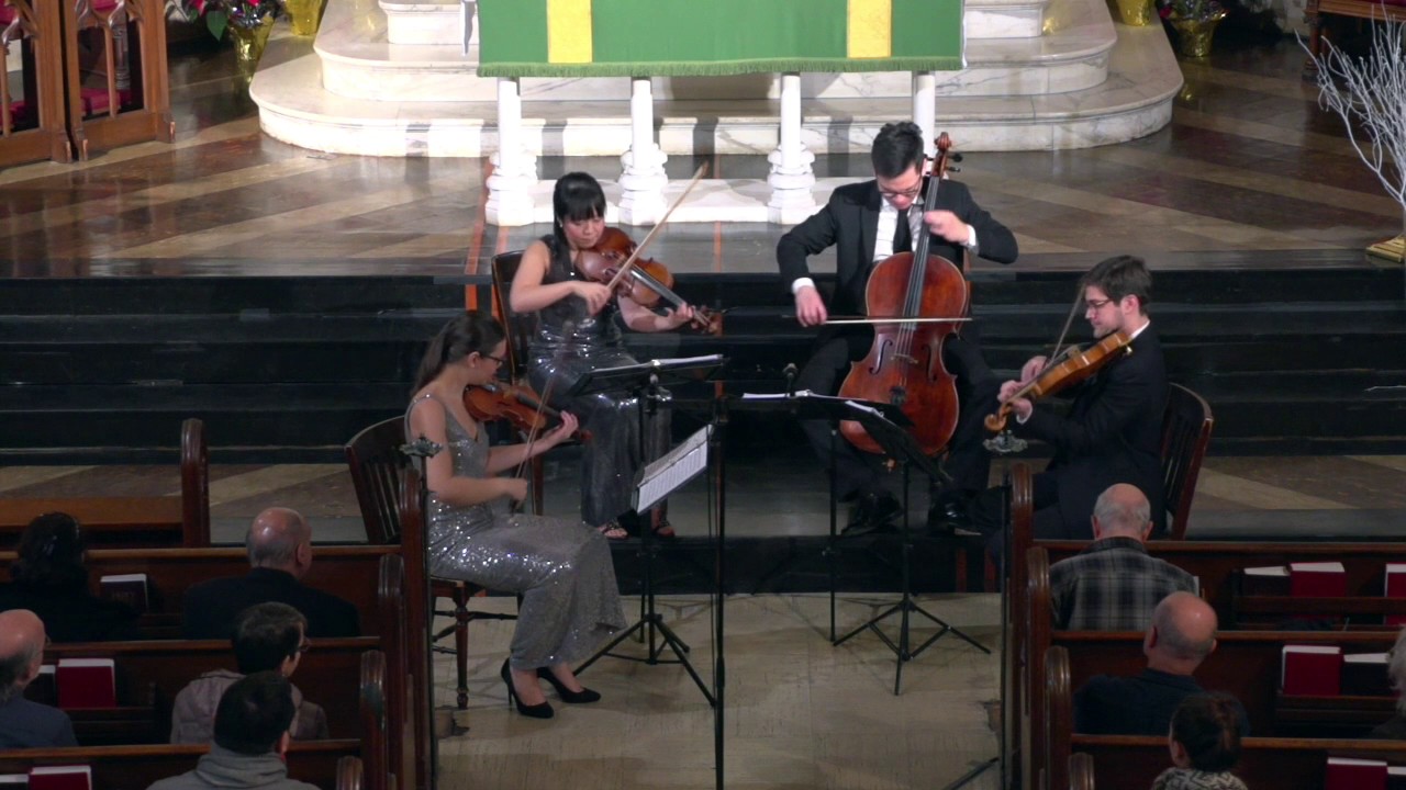 Haydn Op. 64-4 1st Mv