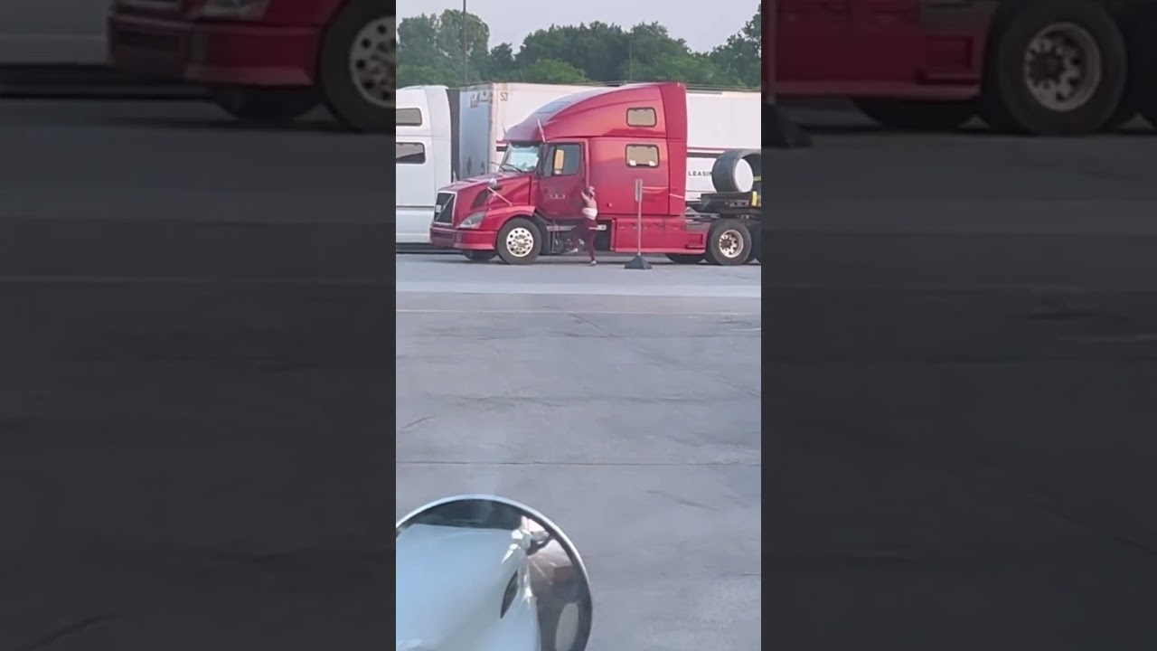 Вирусная ящерица Лота! Когда я учился в школе CDL, мне говорили быть осторожнее с ящерицами Лота....