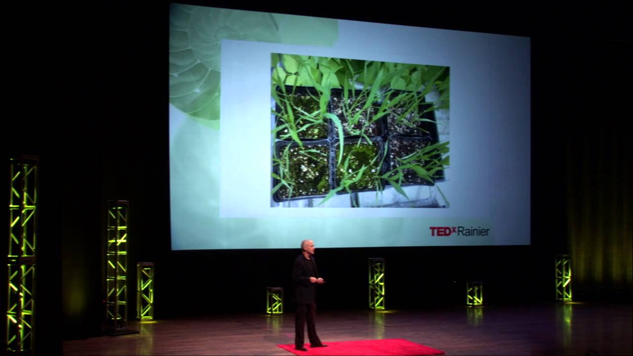 Life's Resilience Response to Hydrogen Sulfide: Peter Ward at TEDxRainier
