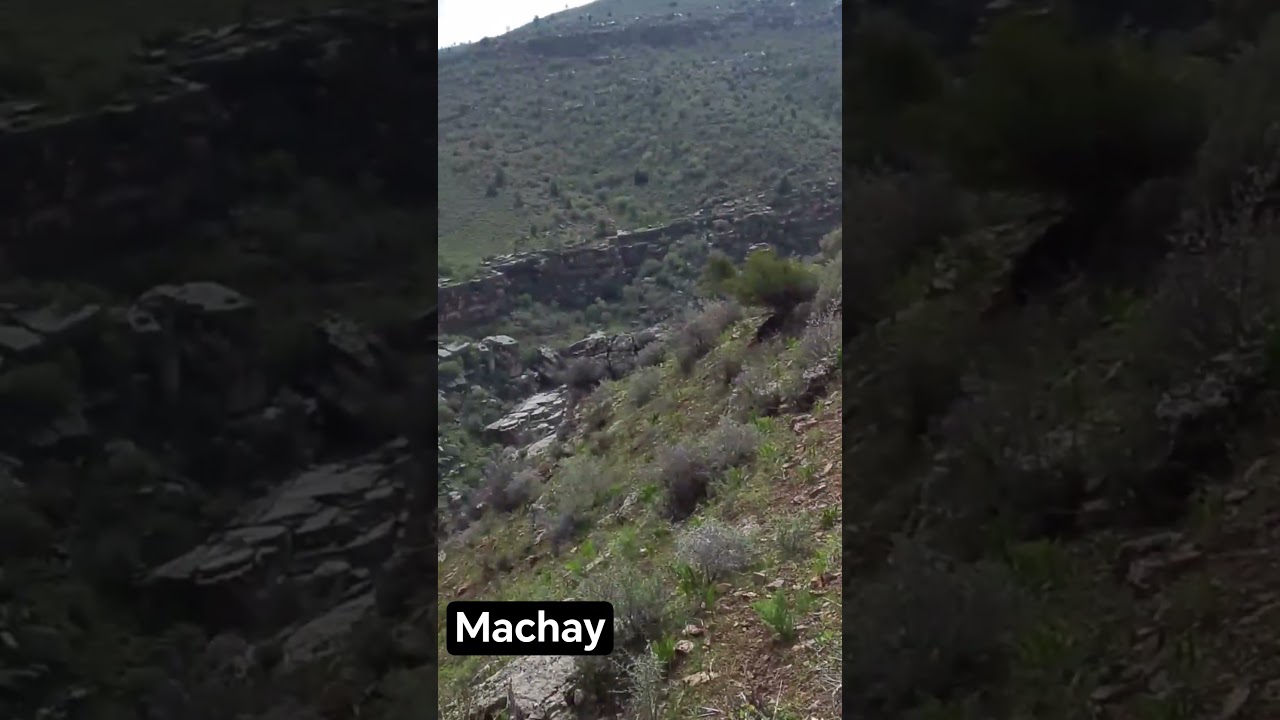 #guitar #music #shayxrahmatullohtermiziy #travel #asrbitavoytexnika #qashqirlarmakonipistirma