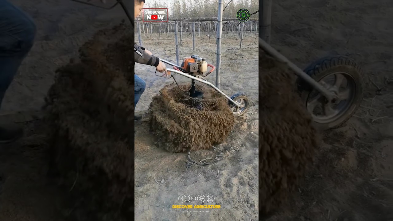 Amazing Trolley Auger Machine