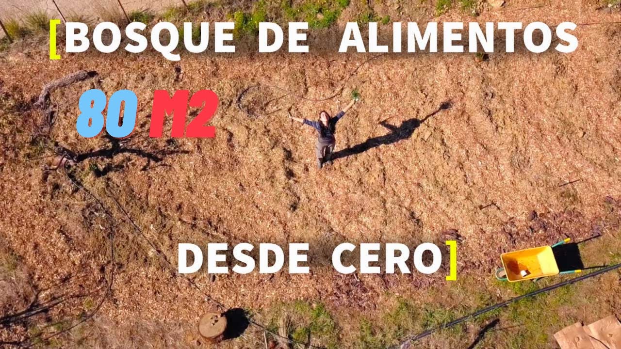 BOSQUE COMESTIBLE 80 metros🌳 [Paso a Paso desde 0]