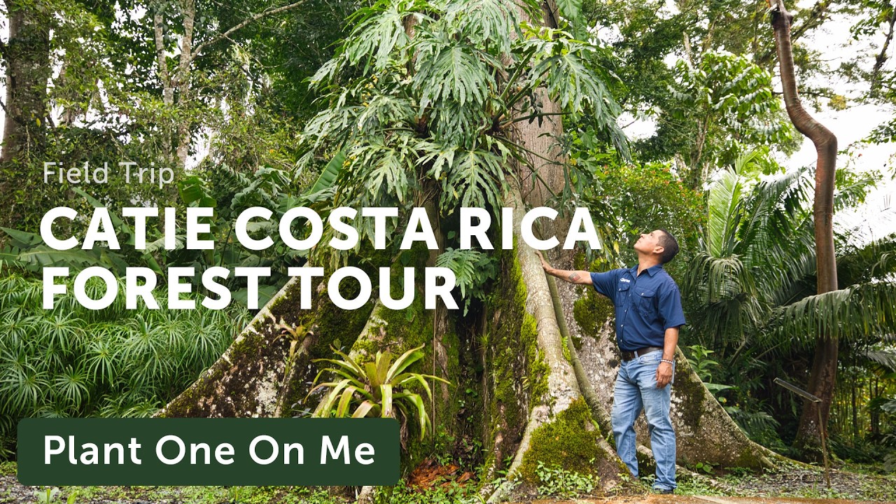 TOUR CATIE: Costa Rica's Tropical Research Gardens — Ep. 402