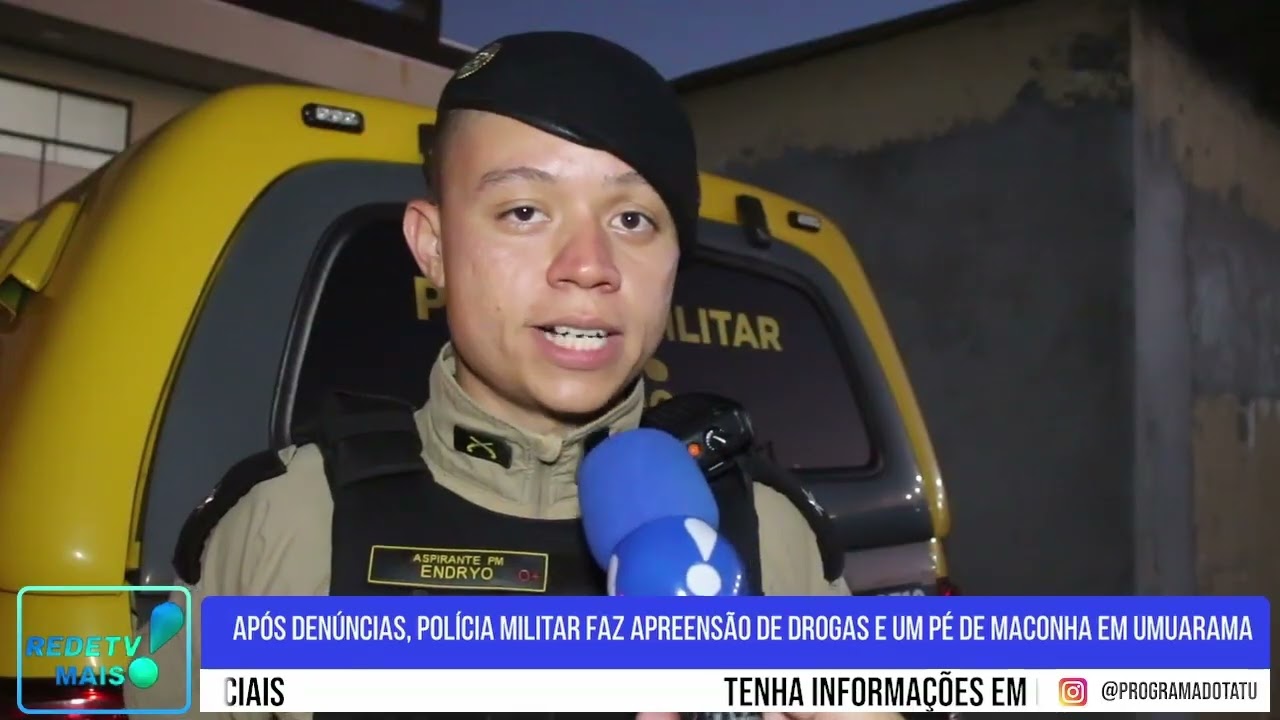 Após denúncias, polícia militar faz apreensão de drogas e um pé de maconha em Umuarama