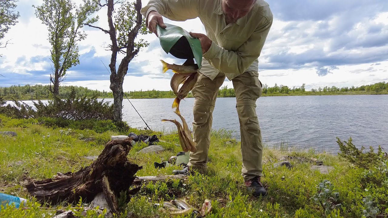Fjellørret - Spinner eller flue | Del 2