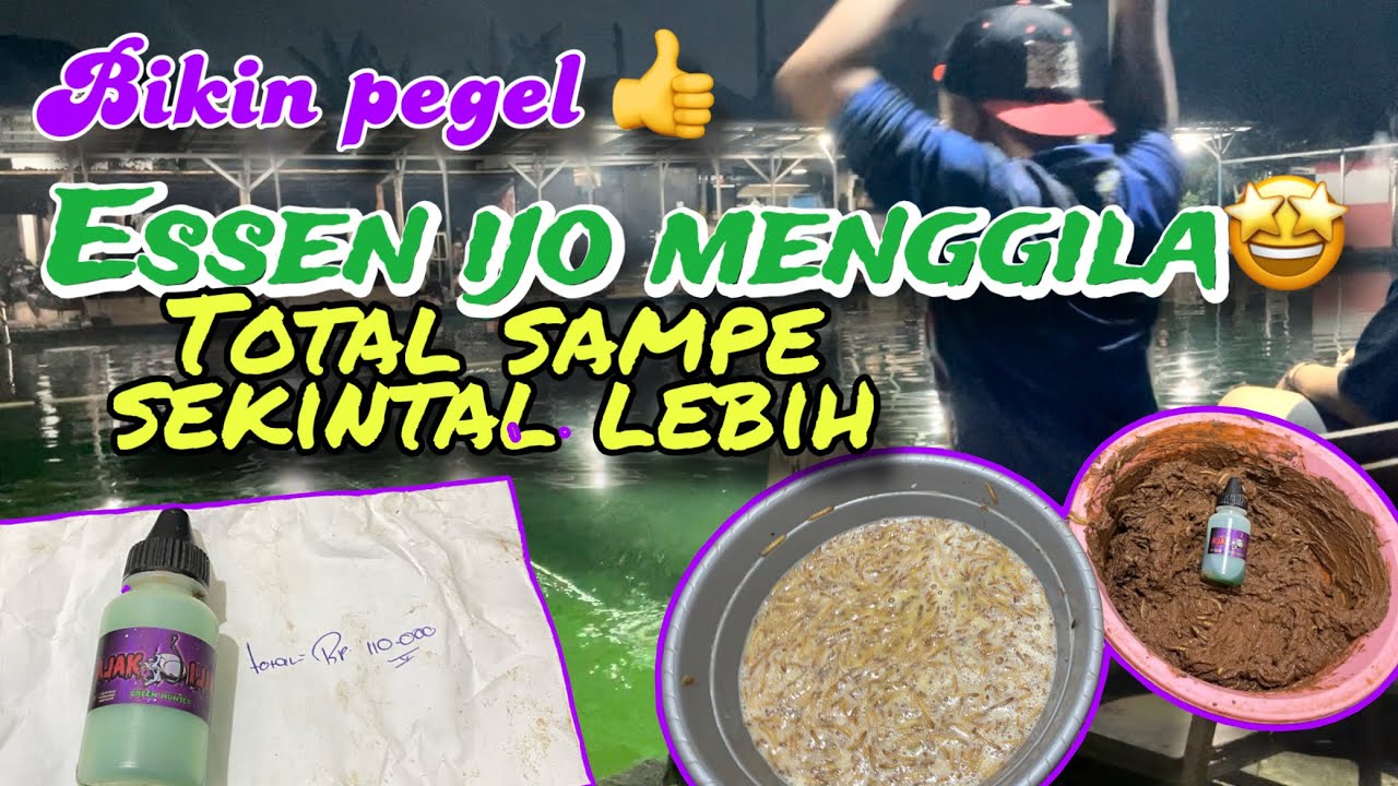 Umpan berani kotor ini, bikin tangan pegel TOTAL sampe sekintal lebih 👍
