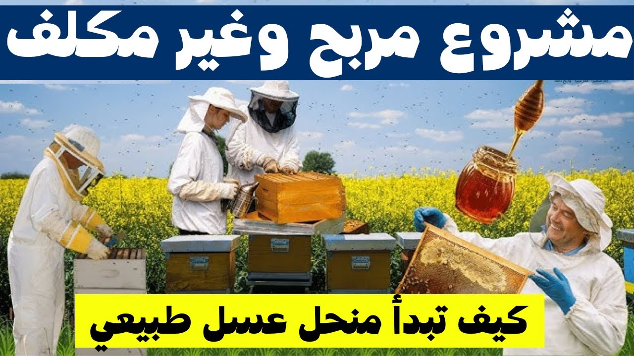 🐝💰 مشروع مربح وغير مكلف 2025 | تربية النحل 🍯 وإنتاج العسل النقي