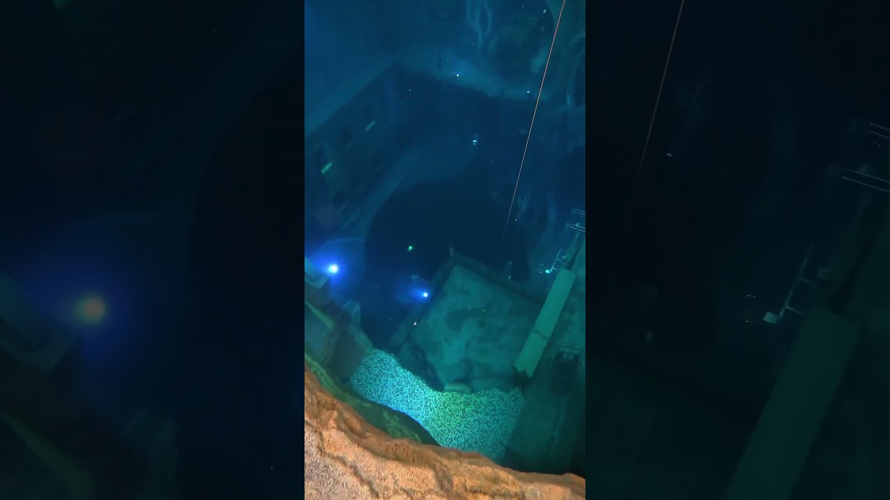 Exploring The Lost City Of Atlantis?😳