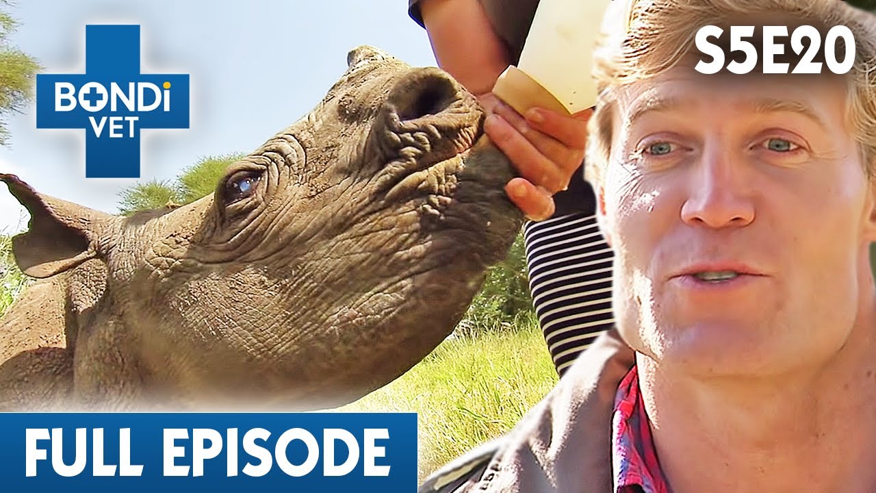 Bondi Vet Visits Kenya 🦒 | Bondi Vet Season 5 Ep 20 | Bondi Vet Full Episodes | Bondi Vet