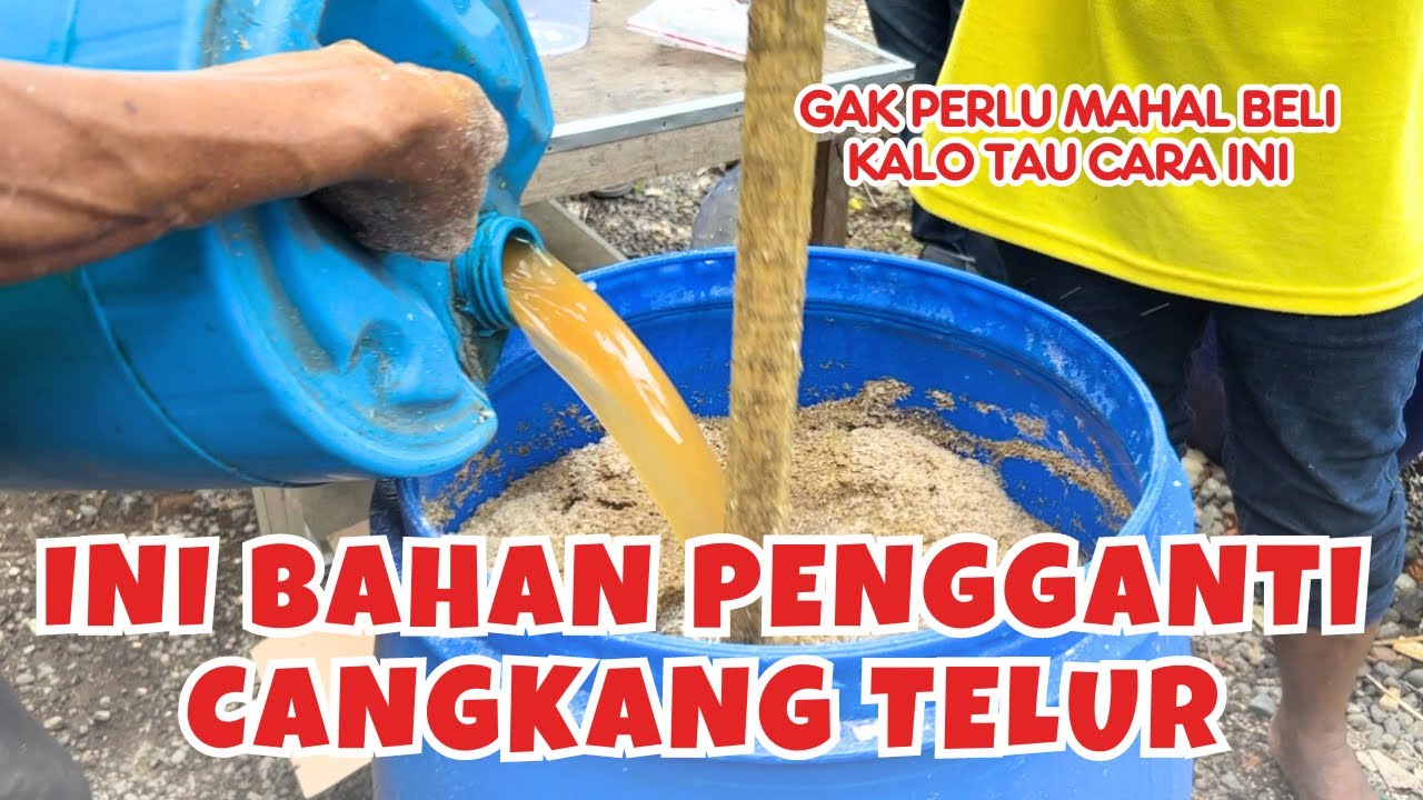 Proses Pembuatan Pupuk KCL di Desa Taman Suruh Banyuwangi
