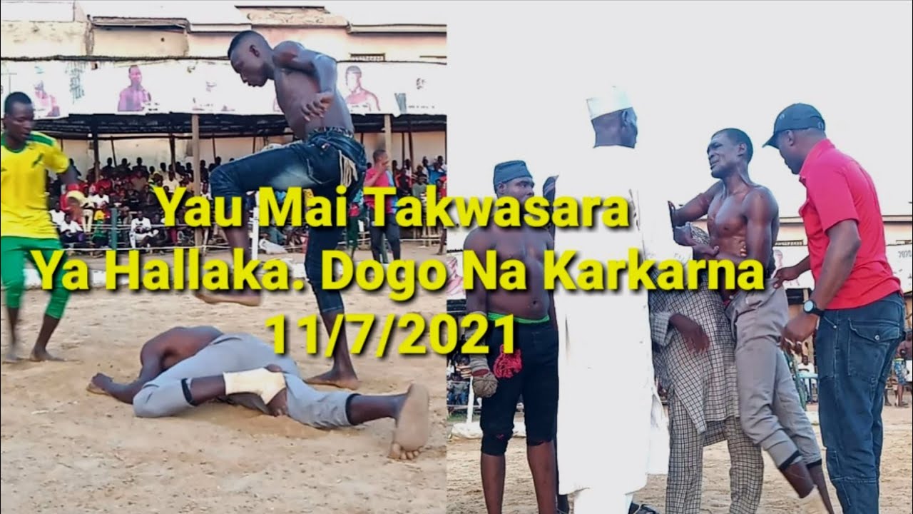 Yau Dogo Mai Takwasara yasumar DA Dogo Na Karkarna Akano