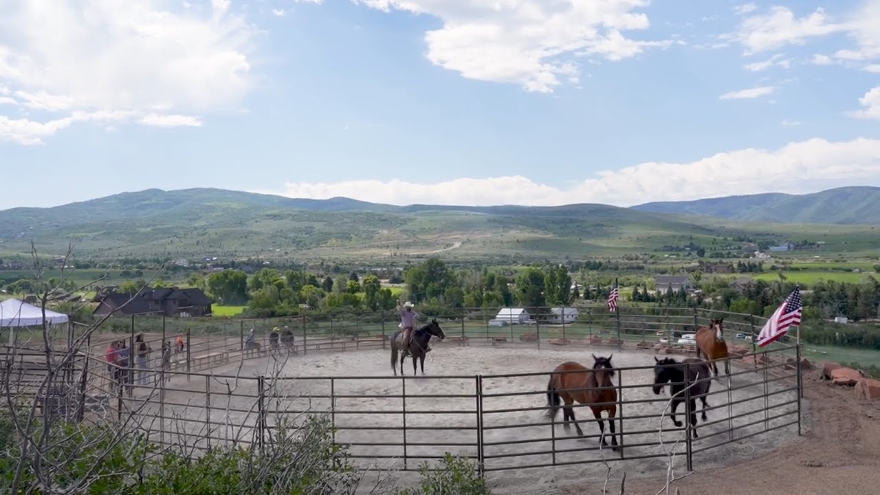 Utah horse sanctuary joins fight to end horse slaughter pipeline to foreign markets