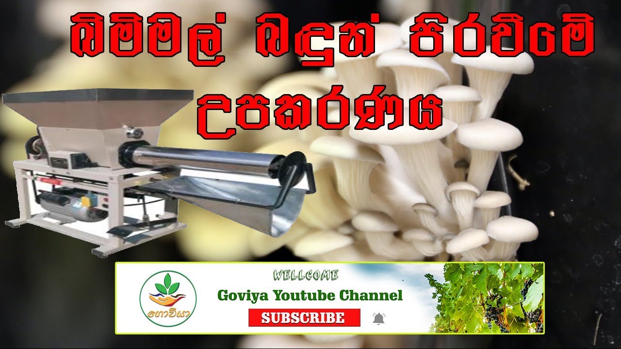 බිම්මල් වගාමළු සැකසීමේ යන්ත්‍රය / mushroom filling machine