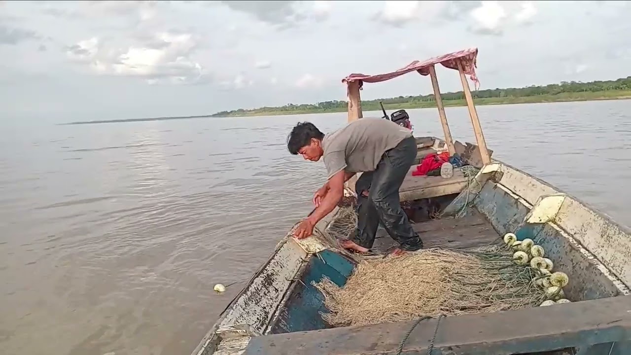 PESCANDO O PEIXE DOURADO #1