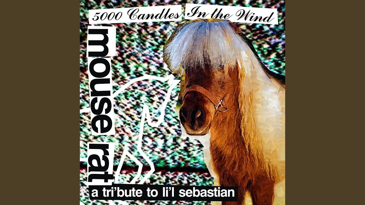 5,000 Candles In The Wind (Bye Bye Li'l Sebastian)
