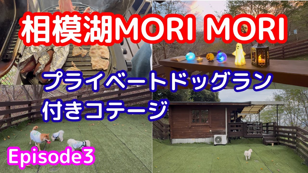 【相模湖MORI MORI③】プライベートドッグラン付きコテージ編！みんなが知りたいと思う情報満載