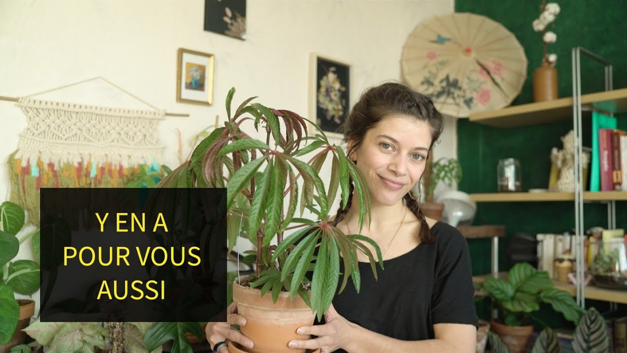 J'AI ÉTÉ INVITÉ À LA GRANDE VENTE DE PLANTE LE GOUT DES PLANTES | VISITE DES PLANTES