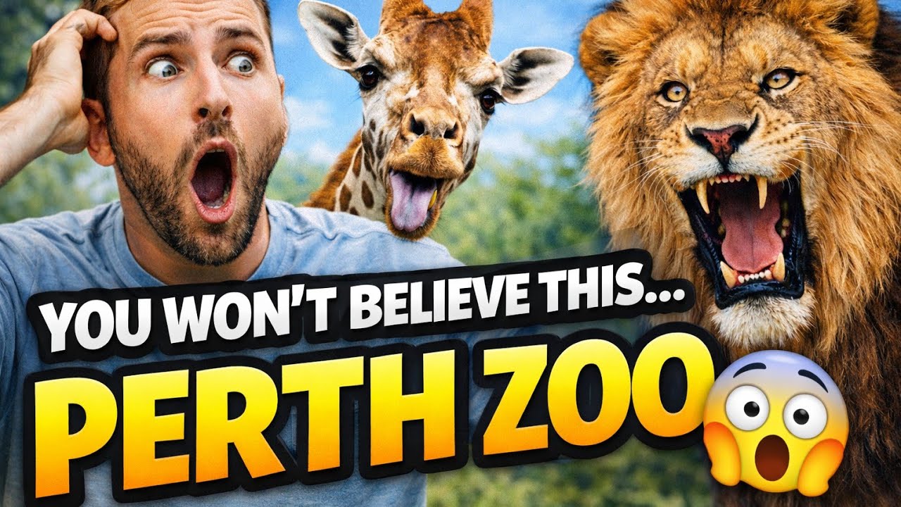 Perth Zoo Was Wilder Than I Thought 🦁