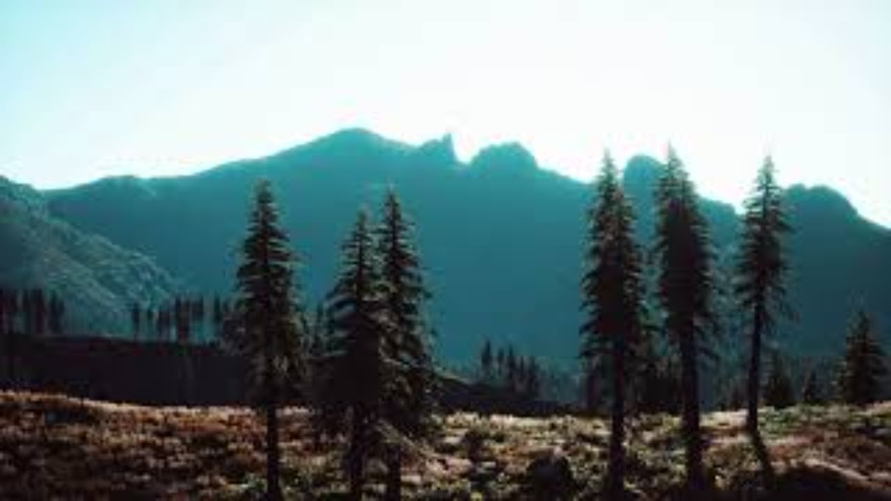 prime morning Relaxing Music music therapy mindfullness hawaii relaxation film tim