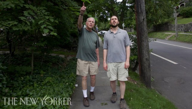 Why Two Men Are Walking Every Block in New York City
