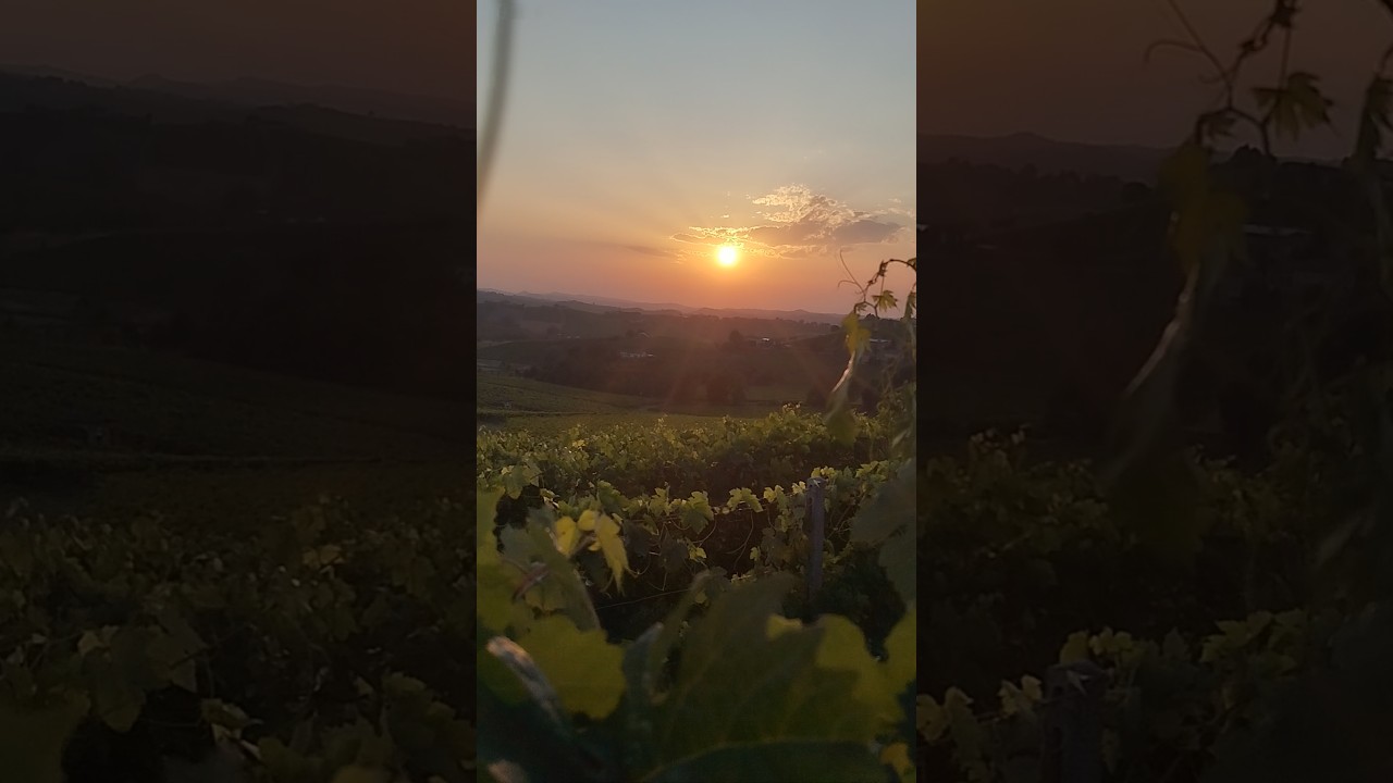 #Sunset #NizzaMonferrato #UNESCO #Piemonte #Italy #Vineyards