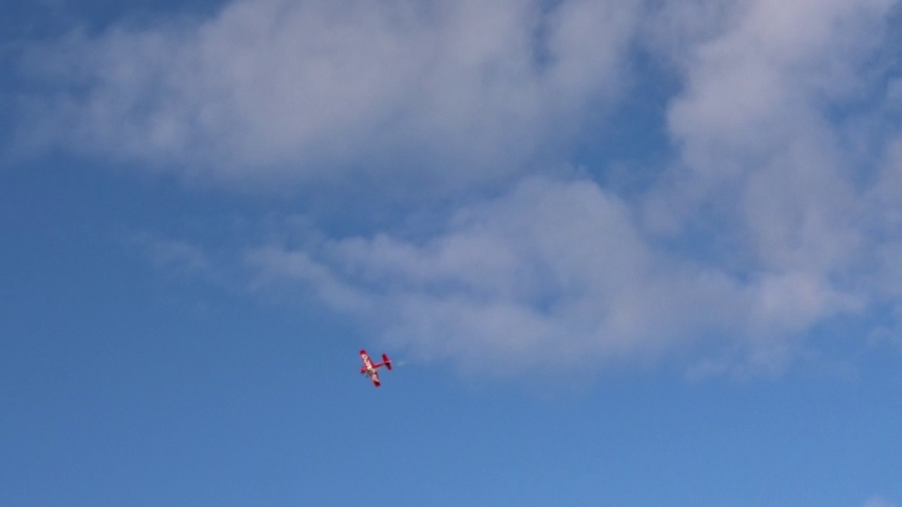 Extra 300S 1/4 1.60 Smoke