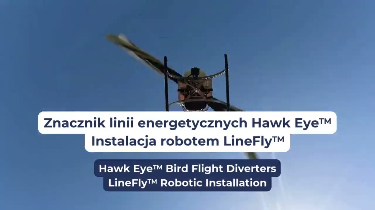 Chronimy dziką przyrodę, zabezpieczając linie energetyczne - HawkEye™ Bird Flight Diverters