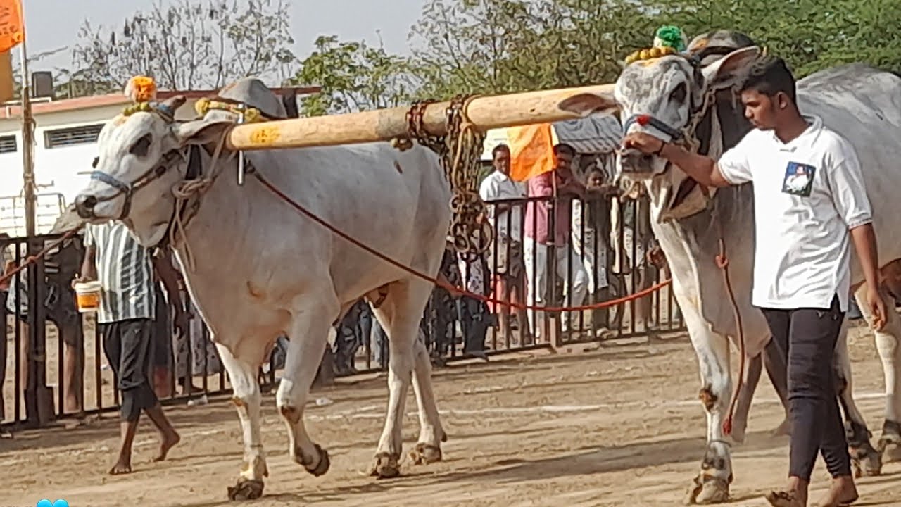 💥🌾అగడూరు గ్రామం న్యూ కేటగిరి విభాగానికి 13వ జత ముదిరెడ్డి గుర్రయ్య గారు💥04-02-2026💥